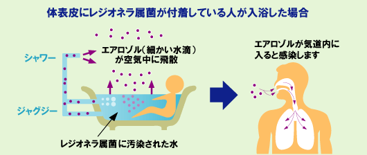 レジオネラ感染防止対策（浴槽水の消毒）｜オーヤラックス